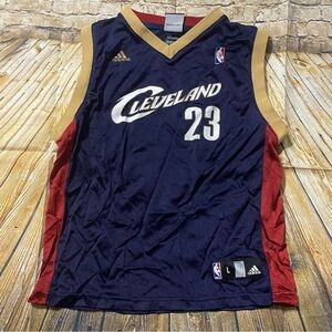 Adidas Cleveland Cavaliers LeBron James Jersey